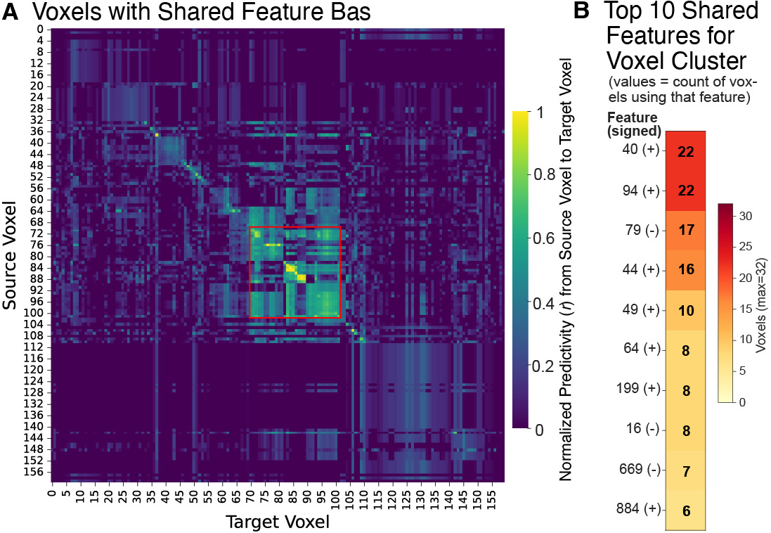 Augmented Sparse Encoding Models